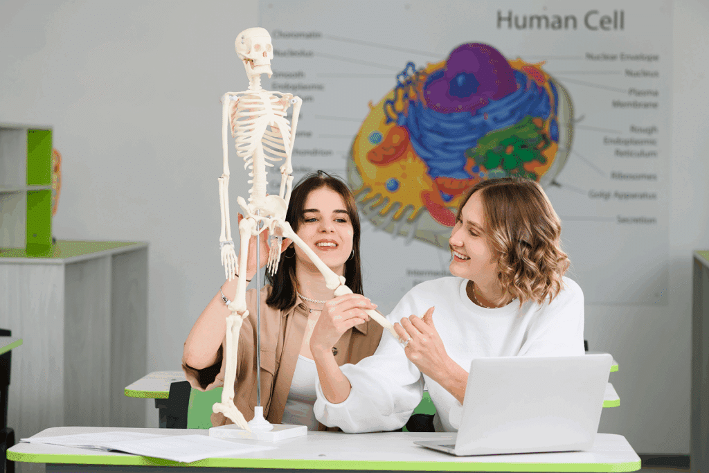 Jovens estudando biologia. O que mais cai em ciencias da natureza no enem.