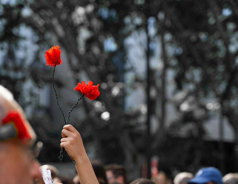 Pessoa segura cravos no alto como símbolo da revolução dos cravos.